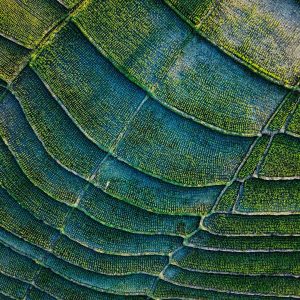 alexey-marchenko-b8HSfIlni1c-unsplash